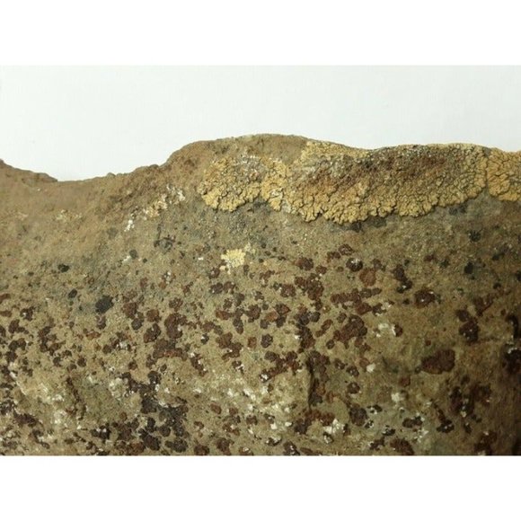 Drilled lichen stone Rock Natural Rustic Patio Tiki Lamp Craft Colorado - Picture 9 of 9